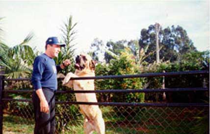 Mauricio e o seu cão Sansão (casa de Mauricio - Araraquara SP)